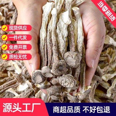 新货鹿茸菇干货500g古田鹿茸菌新鲜煲汤脆脆菇香菇农产品散装批发