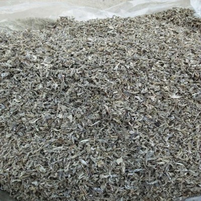 嫩叶莓茶野岩藤茶无梗无沫手工养生代用茶