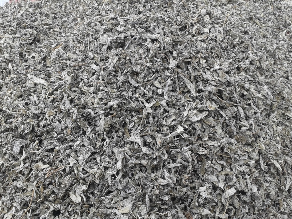 webwxgetmsgimg (10)_副本
