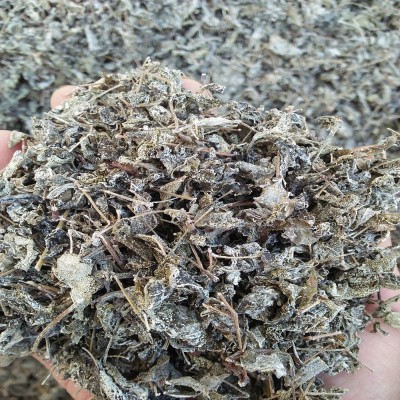 湖南产地直供批发莓茶手工炒制霉茶花草茶夏季成叶藤茶