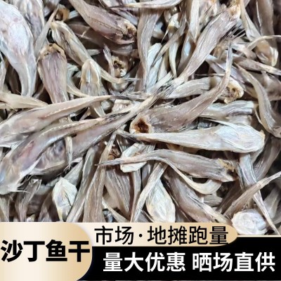 北海足干沙丁鱼干沙甲鱼干小鱼干咸鱼干海鲜干货跑江湖地摊展销会