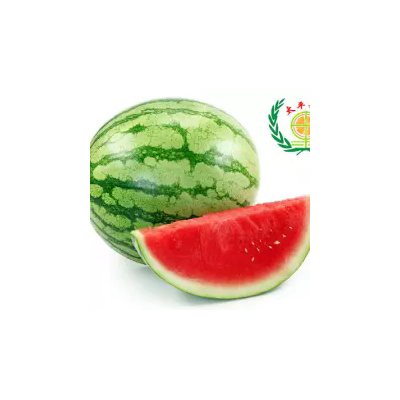 缅甸西瓜昂达甜王和绿宝甜王和花瓜