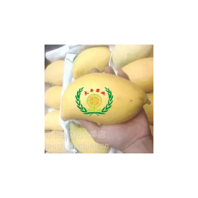 缅甸鹰嘴芒果
