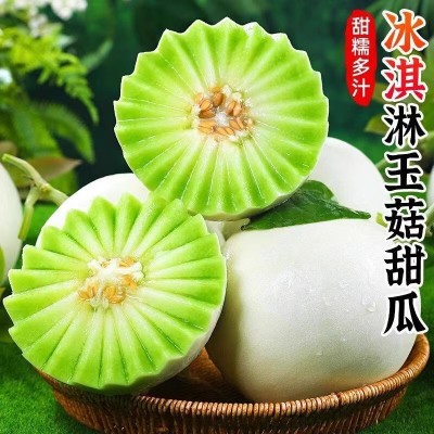 源头供应冰漆淋玉菇甜瓜新鲜香瓜蜜瓜当季水果包邮一件代发