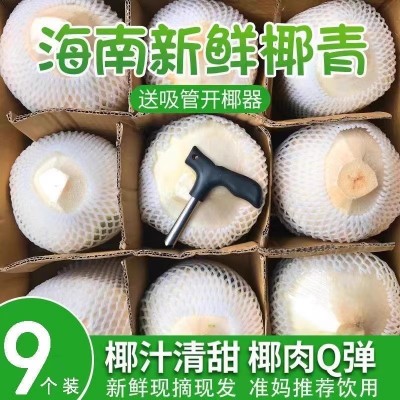 源头供应新鲜海南椰青去皮椰子包邮一件代发