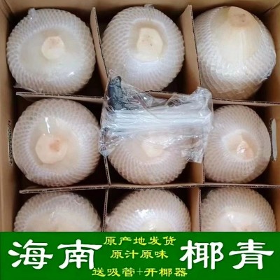 海南新鲜椰子椰青批发可一件代发9个开盖椰肉椰球4个开椰 器产地果
