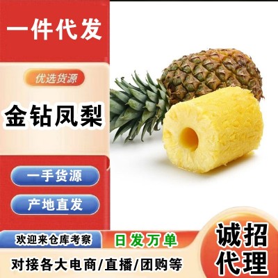 海南金钻凤梨代发 3/5/9斤凤梨当季现摘金钻凤梨顺丰快递一件代发