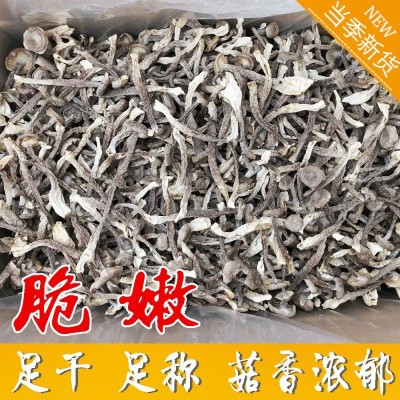 干度好特色鹿茸菇净重食用菌干货鹿茸菇鹿茸菌 货量大批发