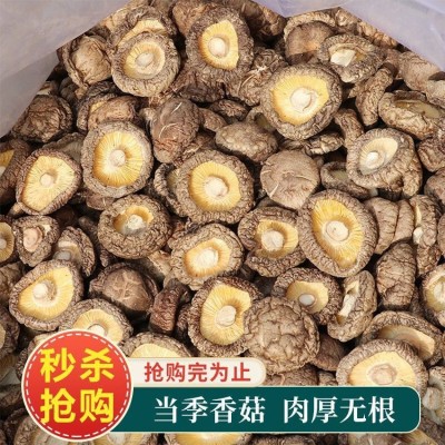 10斤古田农家干香菇通货散装商用蘑菇剪脚肉质厚香菇干货