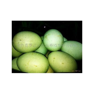 旧院黑鸡蛋45克