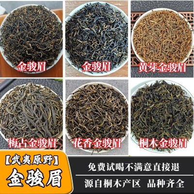 武夷山新茶桐木梅占金骏眉茶叶芽中芽散装花蜜香黄芽金俊眉红茶