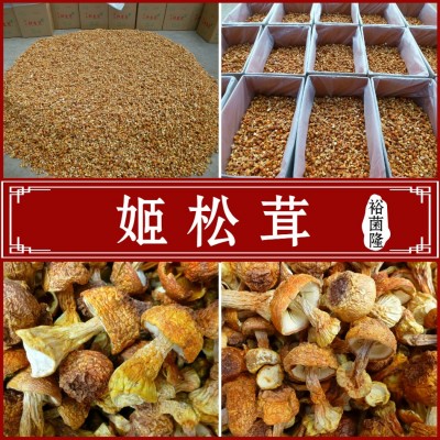 【裕菌隆】干松茸姬松茸 云南姬松茸产地大货批发 云南特产巴西菇