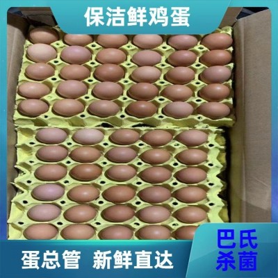 密封纸箱包装 保洁鸡蛋批发 蛋总管 源头厂 量大优 个头大小均匀