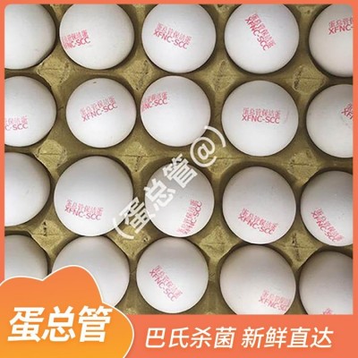 蛋总管 巴氏杀菌 鸡蛋批发厂家 密封纸箱包装 源头厂 量大优