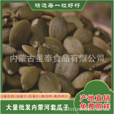 南瓜子光板南瓜籽仁葫芦籽仁单A烘培原料南瓜仁榨油碎仁光板仁