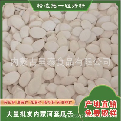 2024年雪白南瓜子大颗大粒优质出口标准级