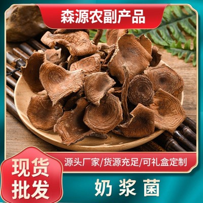 奶浆菌 云南特产高脚红奶浆菌 干奶浆菌 酒店火锅熬汤菌批发