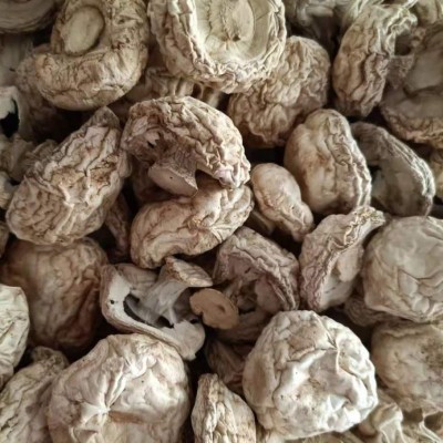 散装磨菇干货食用菌白蘑菇口蘑菌菇炖汤干货批发 量大从优