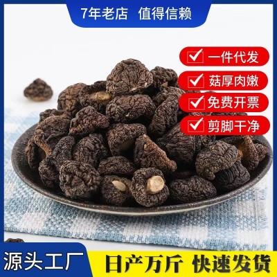 【产地直发】今年新货珍珠香菇干货散装批发 漳平香菇 小香菇干货