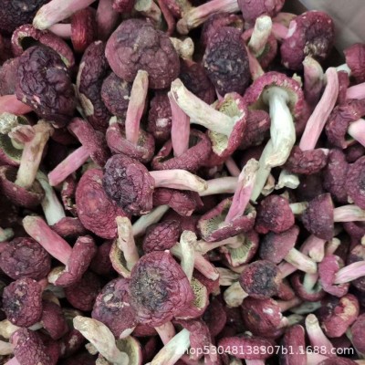 红菇干货 月子煲汤红菇 食用菌大量批发 源头厂家直供价格可议