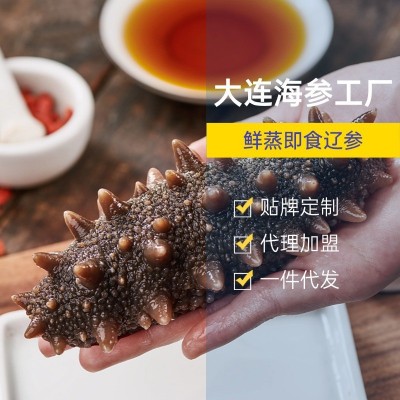 即食大连海参批发鲜食辽参电商一件代发好货