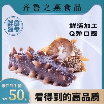 即食海参大连冷冻辽参500g非干货真空包装密封袋新鲜水产批发野生