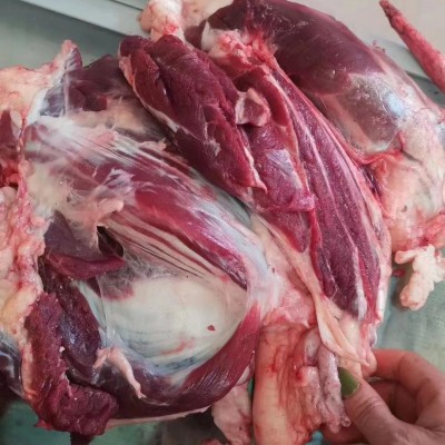 新鲜黄牛腱子原切散养腱子肉冷冻牛肉现杀不注水商用批发零添加