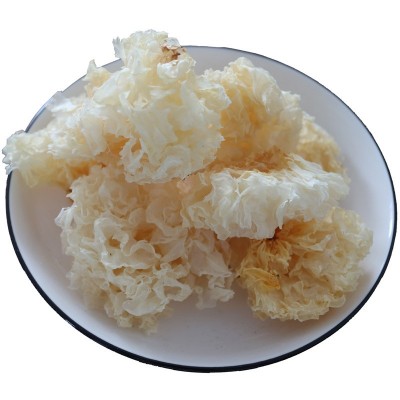 福建古田土特产银耳干货整朵甜品羹食材出胶银耳黄雪耳糯耳丑耳