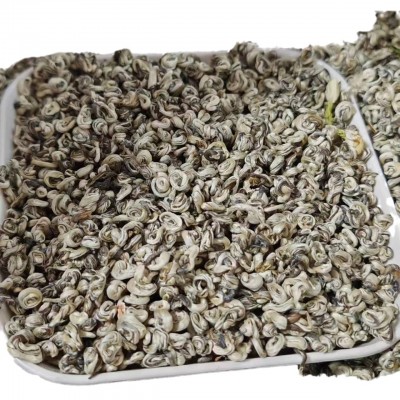 横县产地直销茉莉白玉螺玉螺王全芽散装特级茉莉花茶玉螺批发