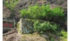 武夷岩茶水仙、肉桂、大红袍各自特点是什么?