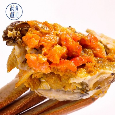 大闸蟹批发30斤50斤湖北清水蟹原产地直发螃蟹源头餐馆河蟹水产