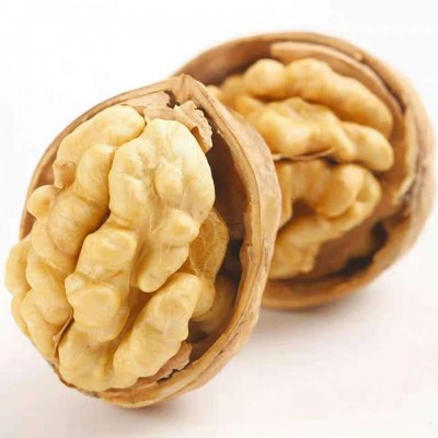 33核桃新疆核桃批发原味薄皮核桃一件代发500g散装核桃批发