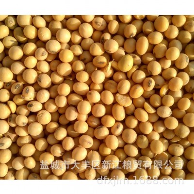 现货批发五谷杂粮粗粮 美工进口大黄豆 现磨豆浆粗粮豆制品原料