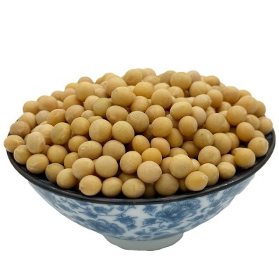 东北黄豆做豆浆专用厂家直发农家自产黄豆做豆腐五谷杂粮