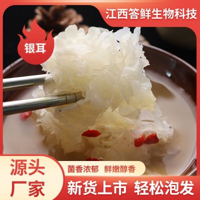 银耳厂家直发银耳新鲜干货无硫雪耳糯白木耳丑耳莲子羹特