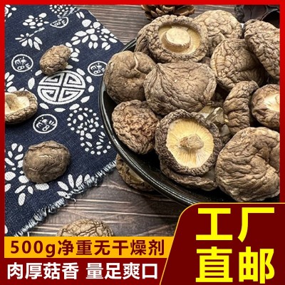 福建古田金钱菇精选干货商用批发非特级香菇500g农家特产肉厚煲汤