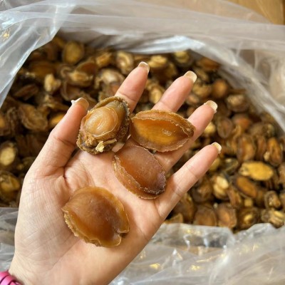 现货50头80头120头各规格鲍鱼干批发250g鲍鱼肉煮粥鲍鱼炖花胶