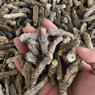 100头左右特价B级黑刺王参海参干货散装250g辽参刺参一手货源