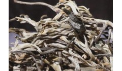 普洱茶的品饮