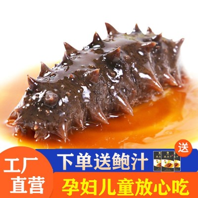 底播海参即食大连海参鲜活辽参海参刺参独立包装即食海参工厂批发