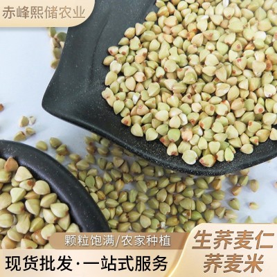 内蒙农家自产生荞麦米 批发杂粮荞麦仁 赤峰荞生荞麦米可煮粥