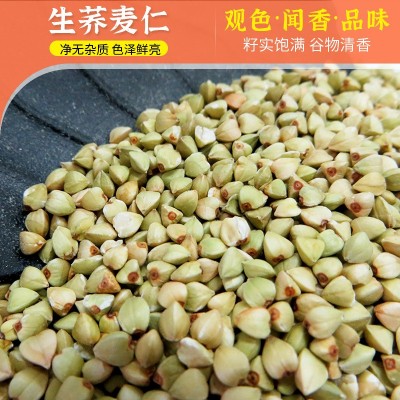 豆浆粉研磨原料生荞麦米 面条加工生产原材料生荞麦仁 煮粥荞麦仁