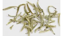 白毫银针的特色与制法