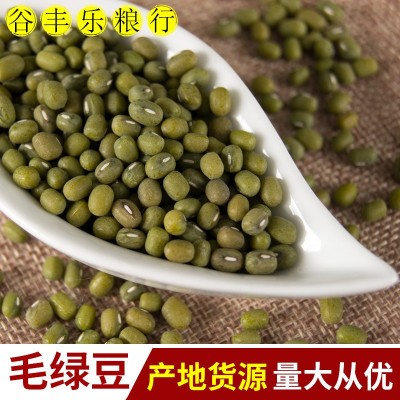 产地货源现货批发东北大毛绿豆 煮粥原料五谷杂粮袋装50斤笨绿豆