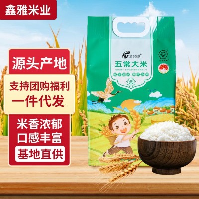 2025新款香大米颗粒饱满醉翁知稻香五常大米真空包装新米5kg批发