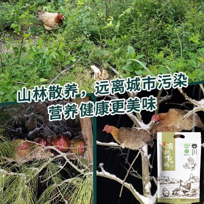 【老母鸡】有机认证土鸡 现杀放养土鸡农家原生态山林散养老母鸡