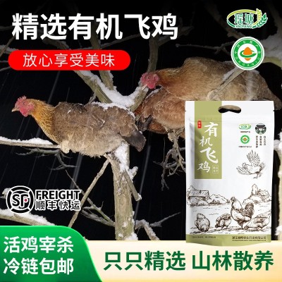 【大公鸡】有机认证产地山林家禽散 原生散养土鸡 土鸡肉真空包装