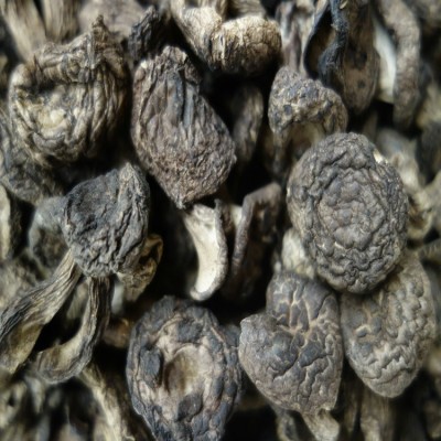 黑虎掌菌 特产农产品虎掌菌干品熊耳菌3·5公分 一件代发可直接出