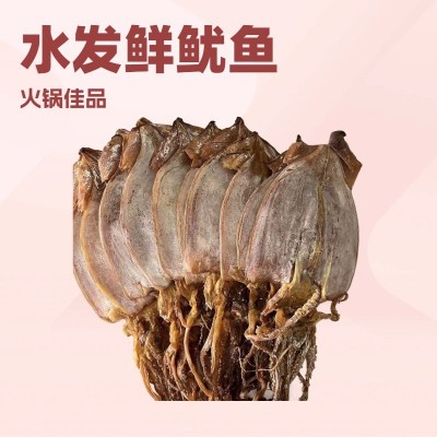 批发水发鱿鱼朝鲜族鱿鱼烧烤火锅餐饮干250g样品干货海鲜