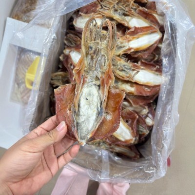 北海淡干血墨鱼干货5-8头自晒乌贼目鱼干海鲜干货特产批发船晒
